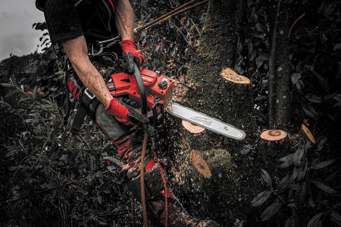 Die kompakte Bauform macht Tophandle-Kettensägen besonders geeignet für den Einsatz in der Baumpflege und die Arbeit in Baumkronen.