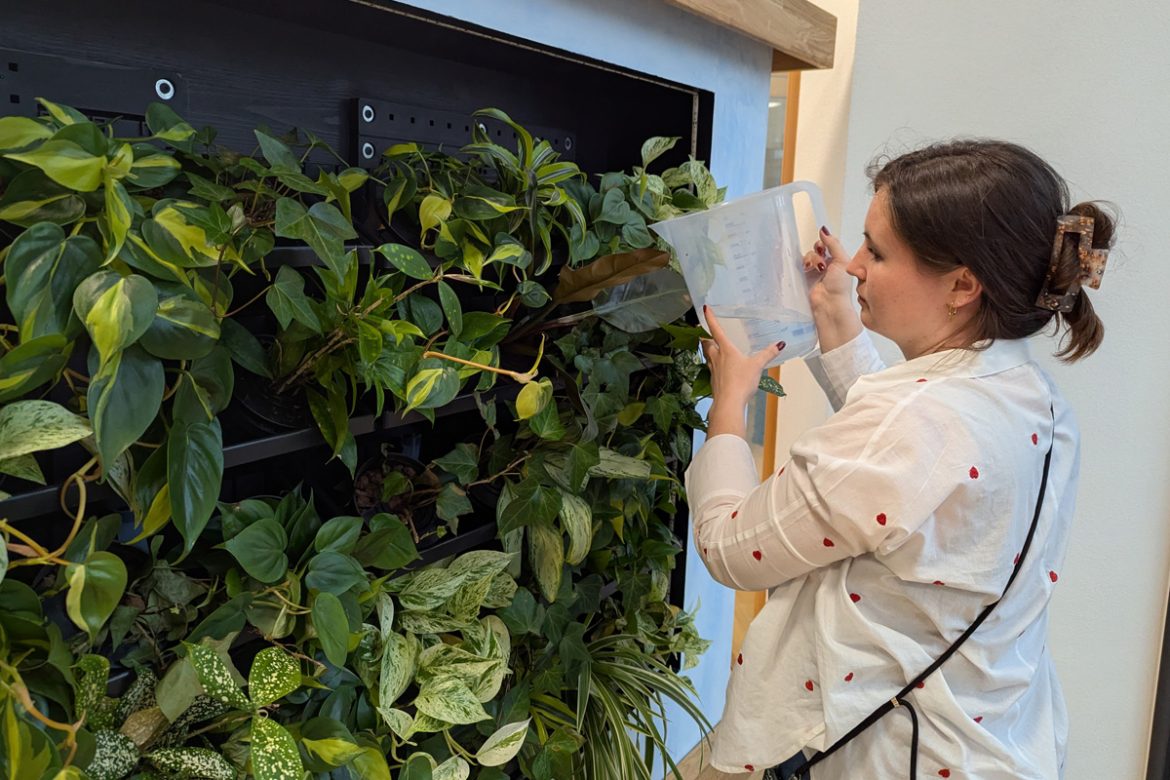 Ein Vortrag befasste sich mit dem positiven Einfluss von Klimabrunnen auf das Raumklima.