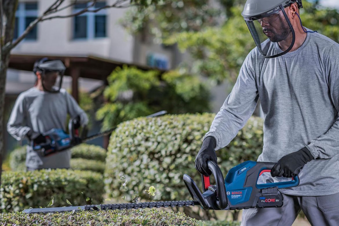 Hecke schneiden mit einer Akku-Heckenschere