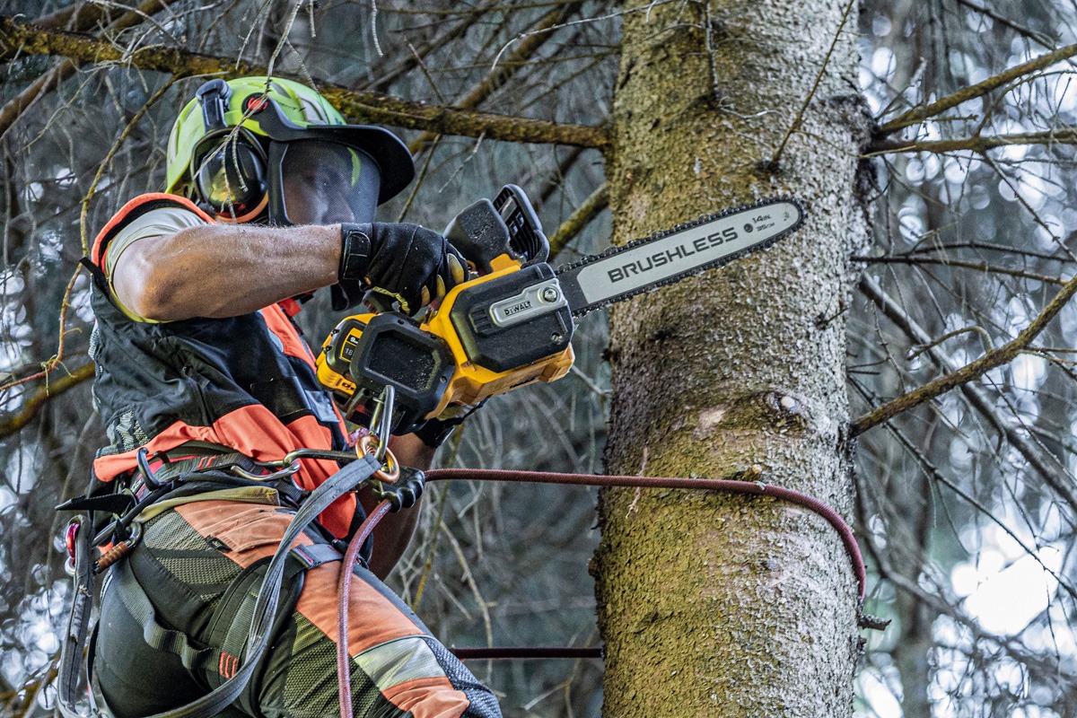 Für den professionellen Einsatz, auch unter härtesten Bedingungen: 54 Volt Akku-Kettensäge von Dewalt.