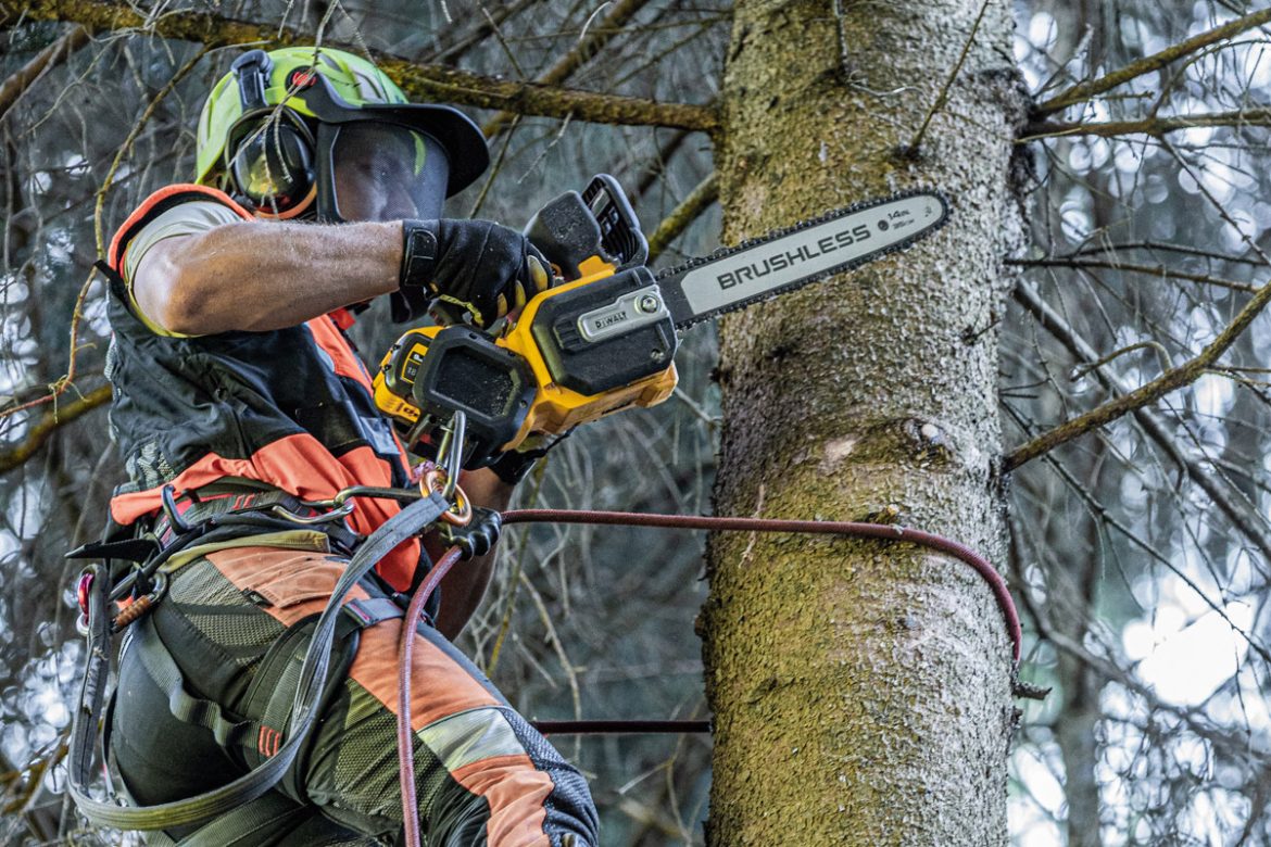 Für die Akku-Kettensäge Die DCMCST635N-XJ von Dewalt gibt es als Zubehör Schwerter und Ketten für 30cm und 40cm Länge.