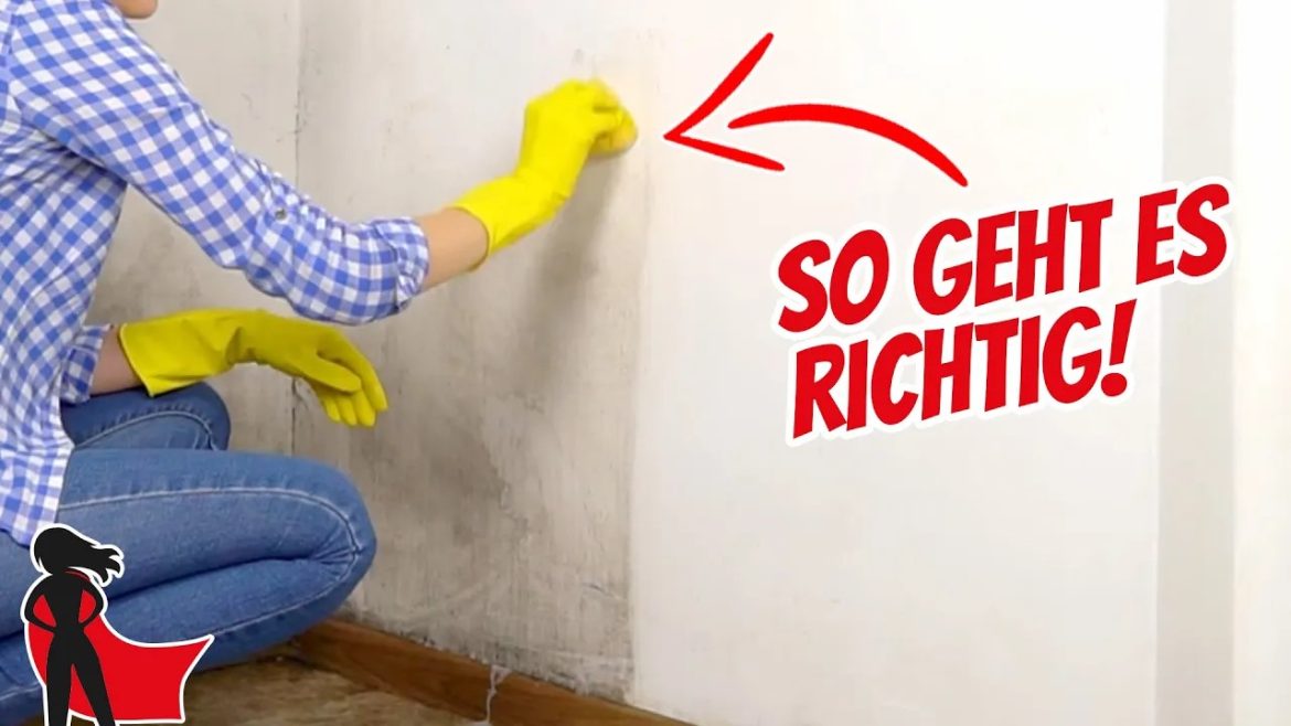 Schimmel entfernen und vermeiden